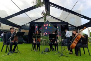 Carpas. pantalla led, sonido para bandas en vivo, iluminación - RN Eventos